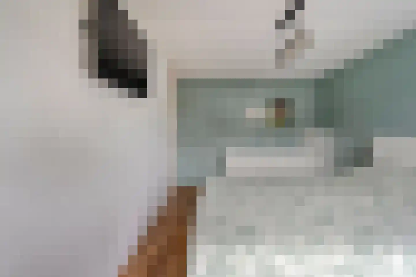 Tapuitlaan 11 Hoogeveen thumbnail 39