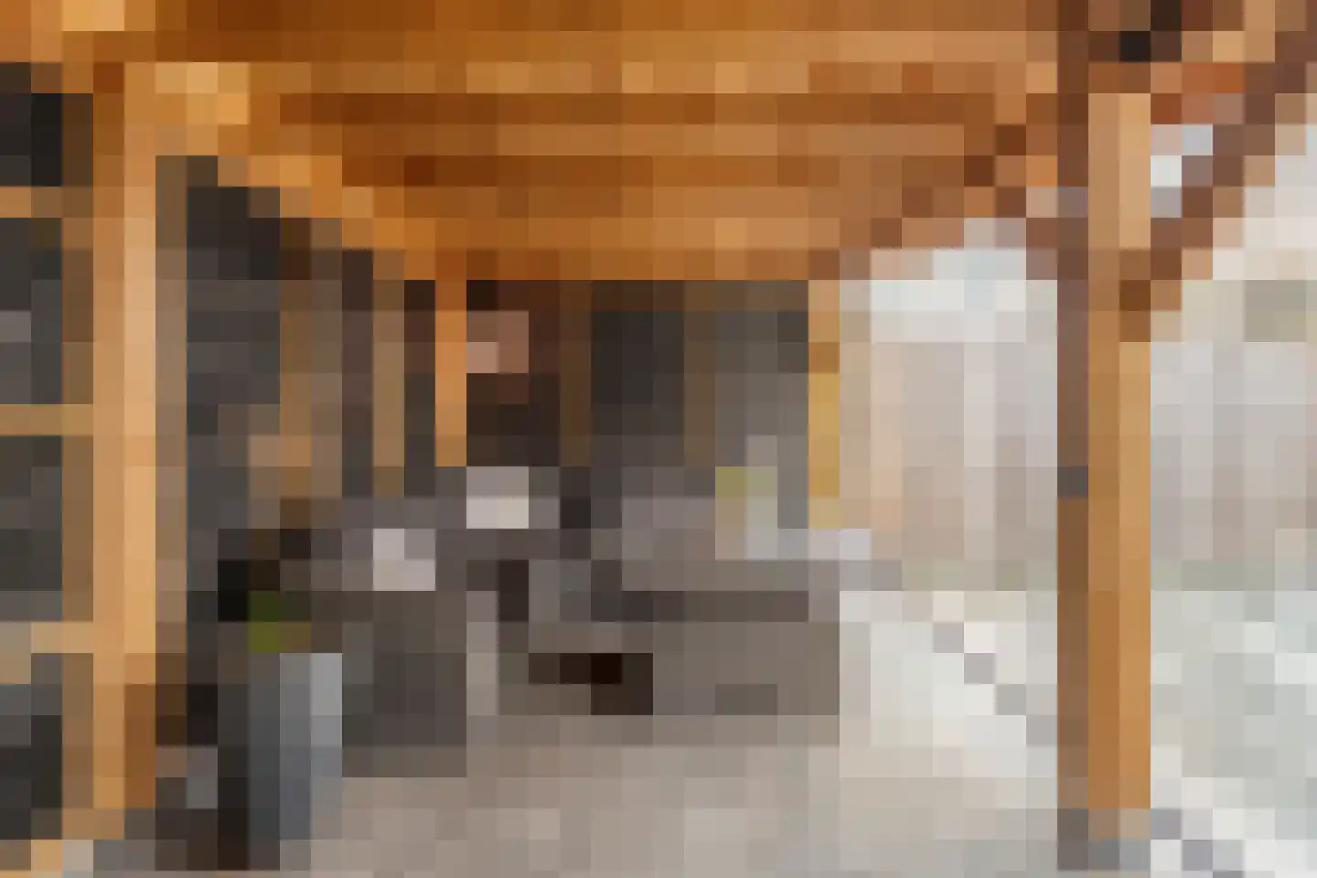 Tapuitlaan 11 Hoogeveen thumbnail 53