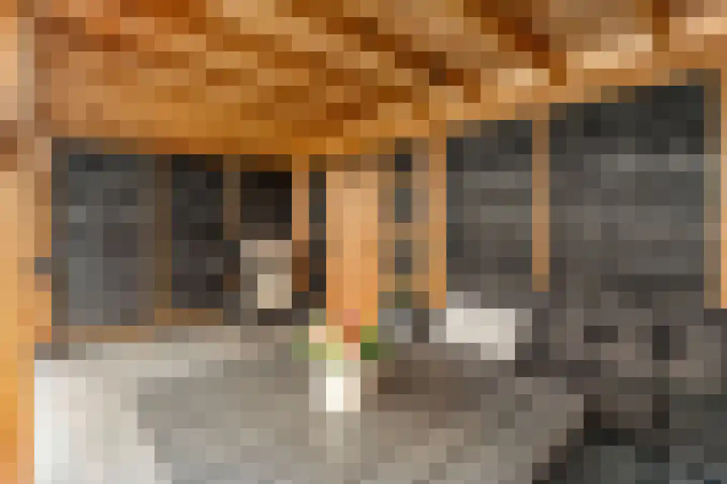Tapuitlaan 11 Hoogeveen thumbnail 54