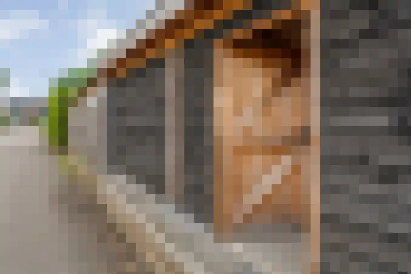 Tapuitlaan 11 Hoogeveen thumbnail 57