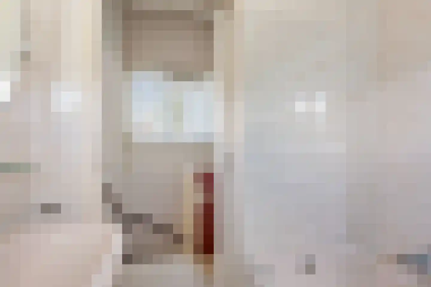 Tapuitlaan 125 Hoogeveen thumbnail 24