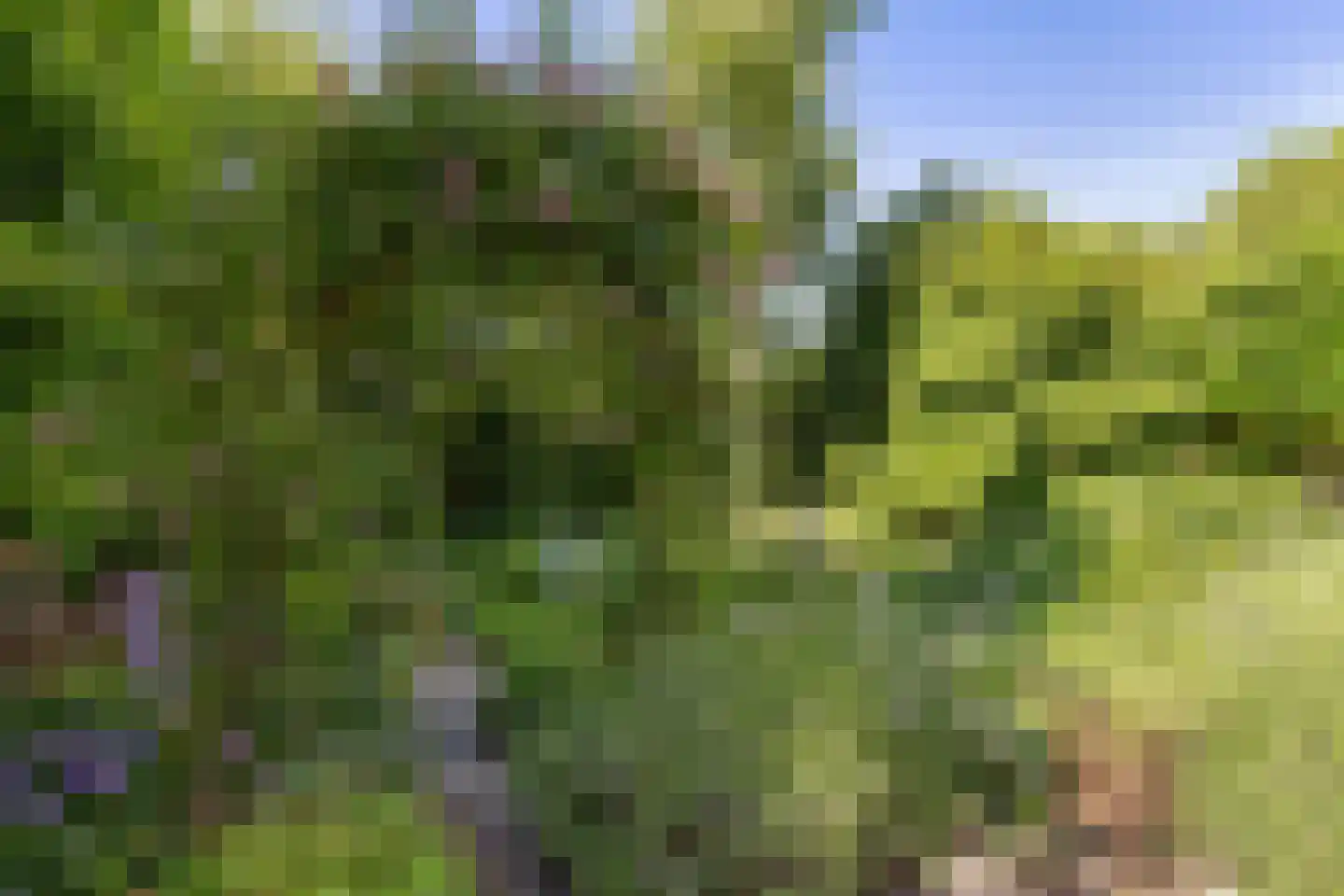 Tapuitlaan 125 Hoogeveen thumbnail 36