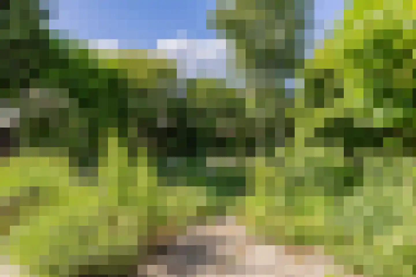 Tapuitlaan 125 Hoogeveen thumbnail 37