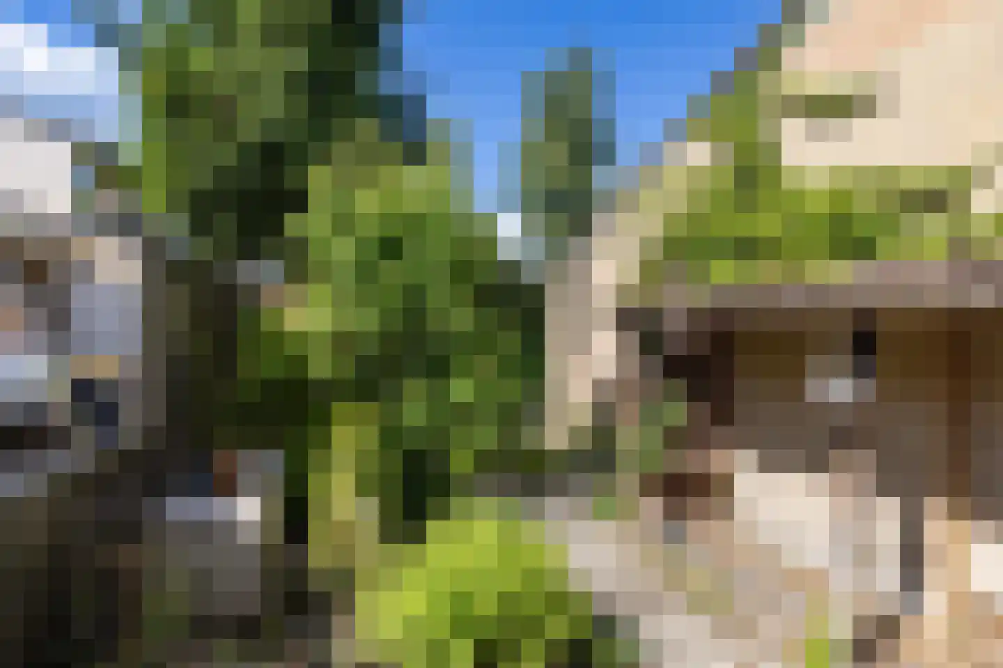 Tapuitlaan 125 Hoogeveen thumbnail 38