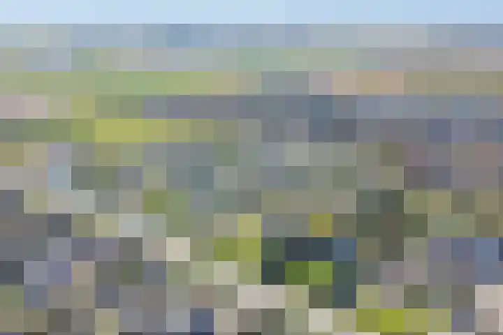 Tapuitlaan 206 Noordwijk thumbnail 36