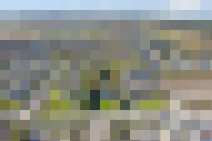 Tapuitlaan 206 Noordwijk thumbnail 37