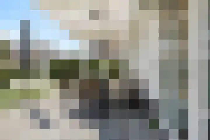 Tapuitlaan 206 Noordwijk thumbnail 4
