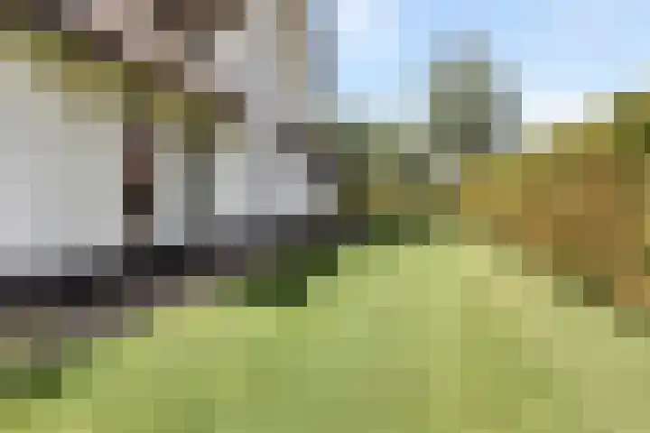 Tapuitlaan 206 Noordwijk thumbnail 5