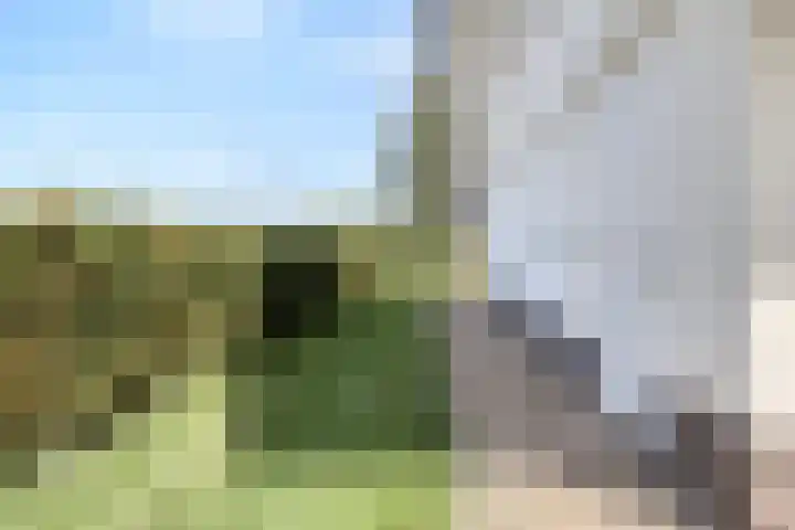 Tapuitlaan 206 Noordwijk thumbnail 7