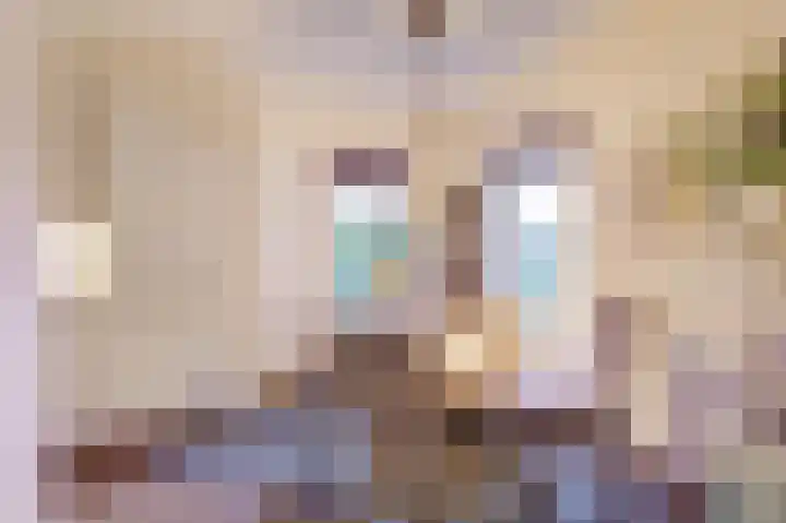 Tapuitlaan 32 Hoogeveen thumbnail 15