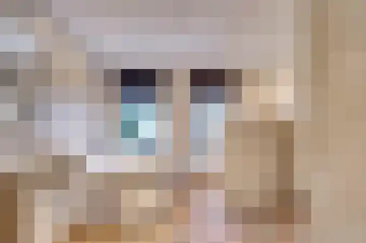 Tapuitlaan 32 Hoogeveen thumbnail 21