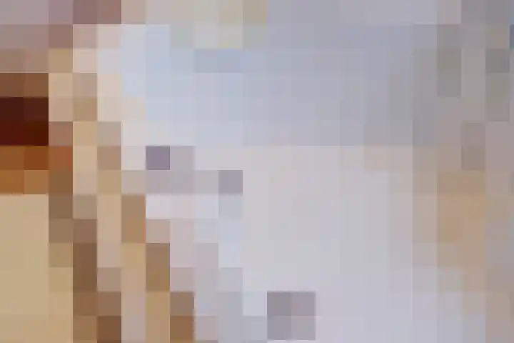 Tapuitlaan 32 Hoogeveen thumbnail 22