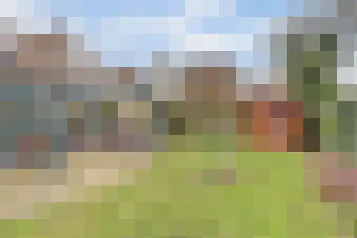 Tapuitlaan 32 Hoogeveen thumbnail 33