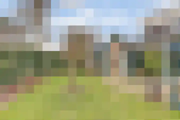 Tapuitlaan 32 Hoogeveen thumbnail 34
