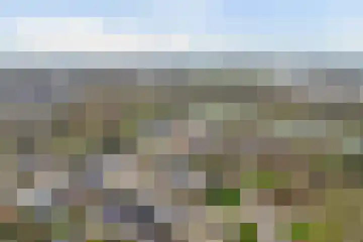 Tapuitlaan 32 Hoogeveen thumbnail 36