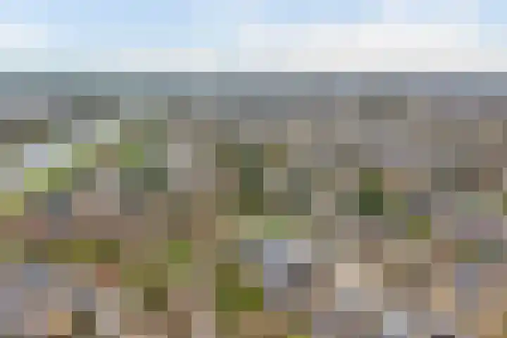 Tapuitlaan 32 Hoogeveen thumbnail 37