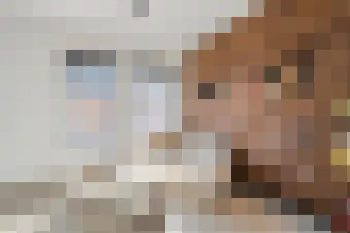 Tapuitlaan 53 Hoogeveen thumbnail 14