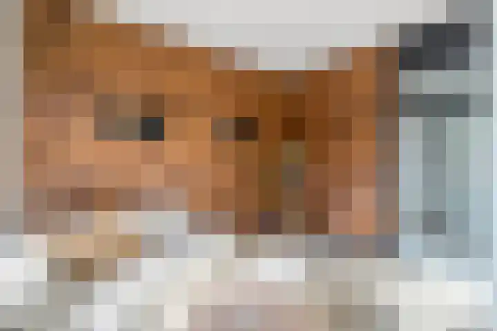 Tapuitlaan 53 Hoogeveen thumbnail 15