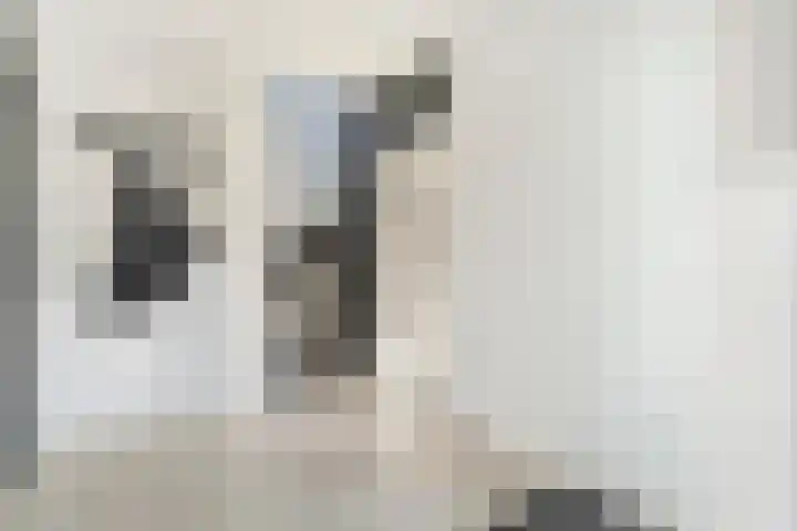 Tapuitlaan 53 Hoogeveen thumbnail 19