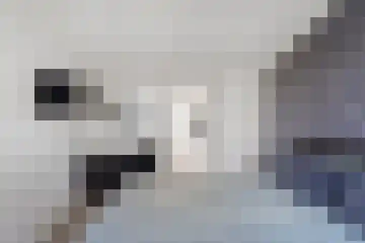 Tapuitlaan 53 Hoogeveen thumbnail 22