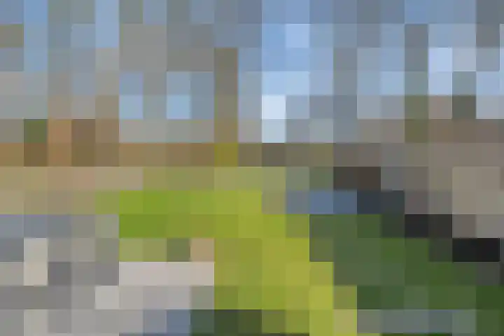 Tapuitlaan 53 Hoogeveen thumbnail 32