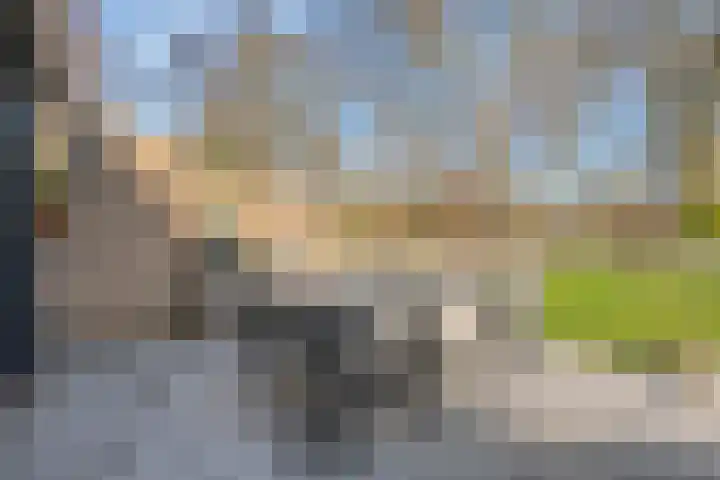 Tapuitlaan 53 Hoogeveen thumbnail 33