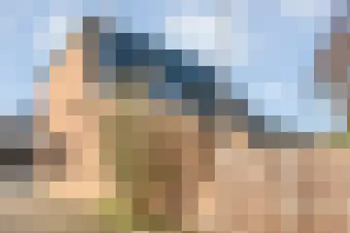Tapuitlaan 53 Hoogeveen thumbnail 35