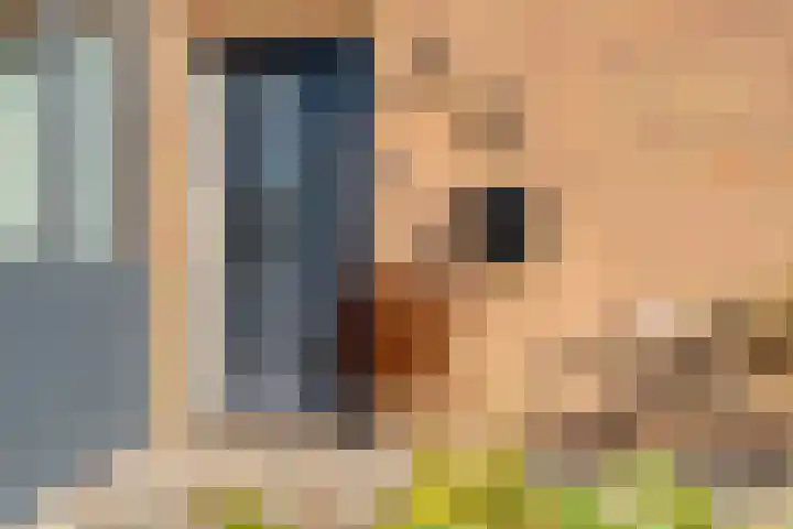 Tapuitlaan 53 Hoogeveen thumbnail 37