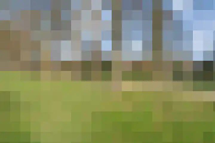Tapuitlaan 53 Hoogeveen thumbnail 41