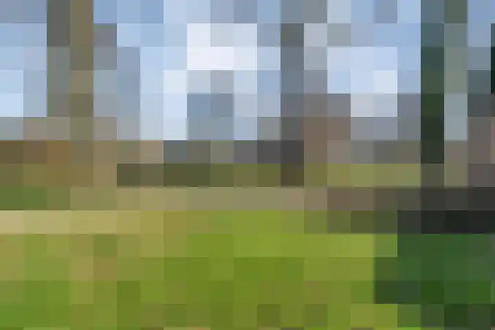 Tapuitlaan 53 Hoogeveen thumbnail 42