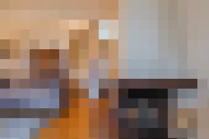 Tapuitlaan 64 Hoogeveen thumbnail 12