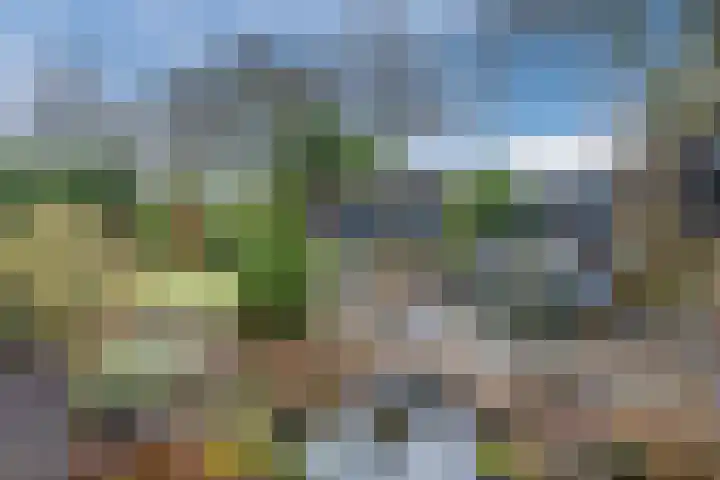 Tapuitlaan 64 Hoogeveen thumbnail 38