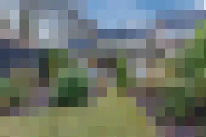 Tapuitlaan 64 Hoogeveen thumbnail 39