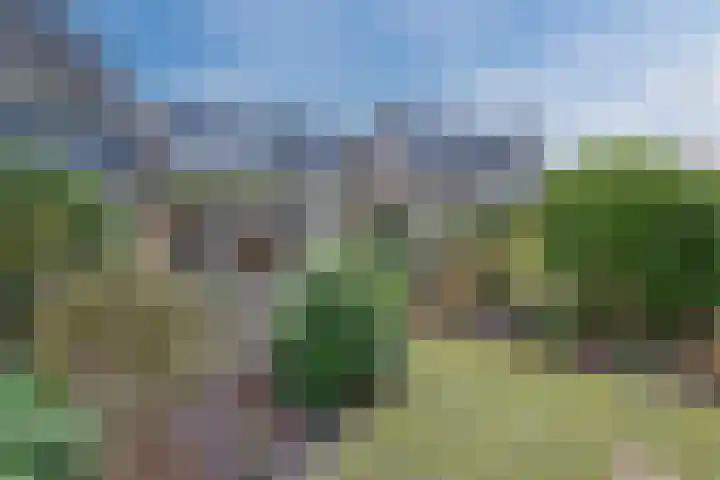 Tapuitlaan 64 Hoogeveen thumbnail 40