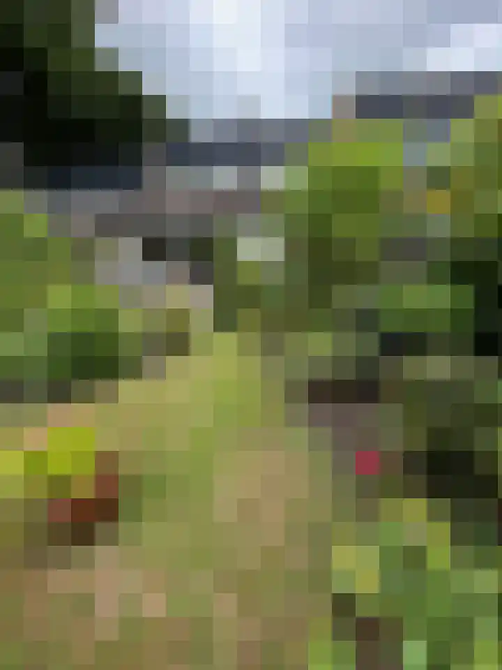 Tapuitlaan 64 Hoogeveen thumbnail 43