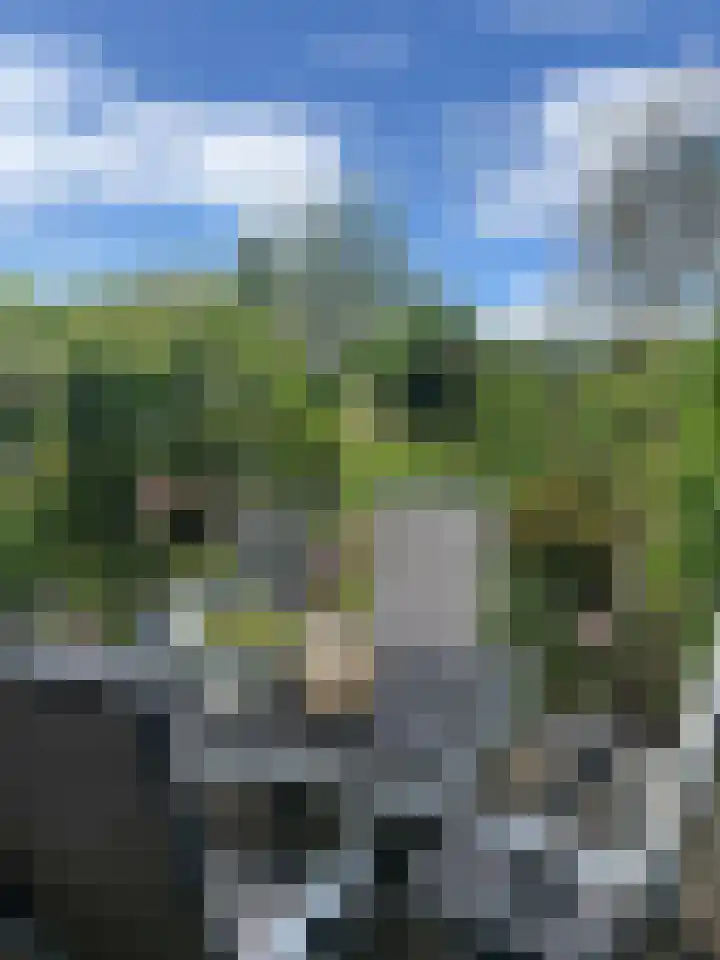 Tapuitlaan 64 Hoogeveen thumbnail 44