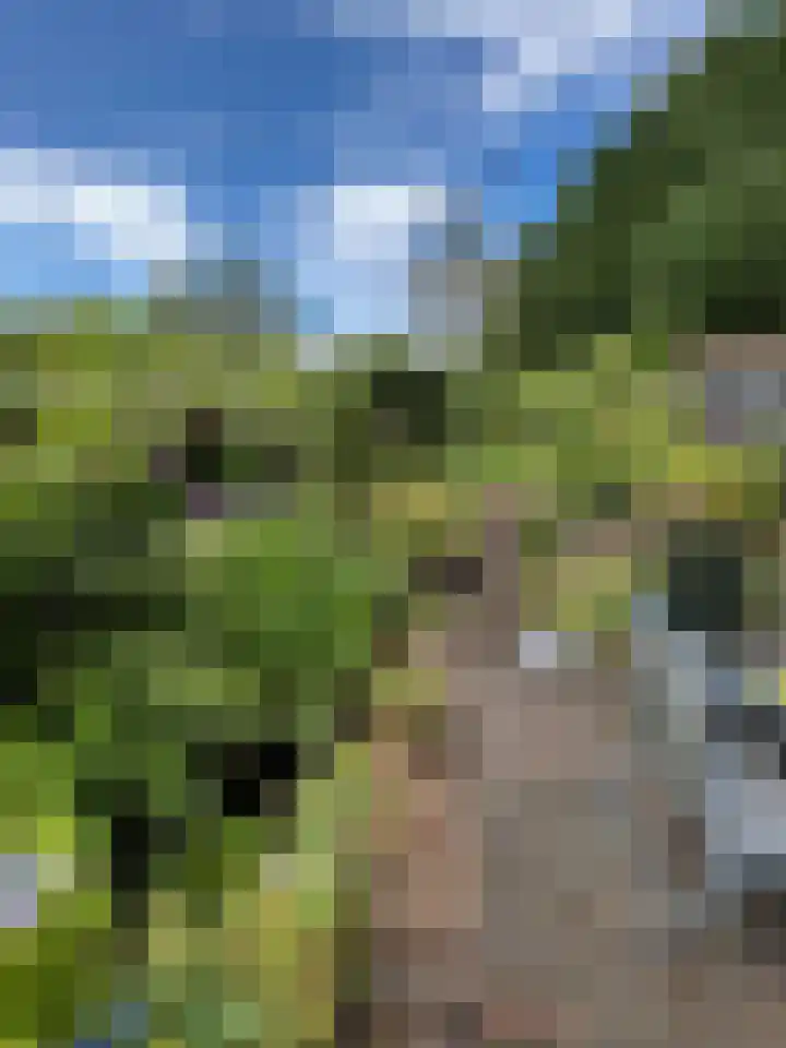 Tapuitlaan 64 Hoogeveen thumbnail 45