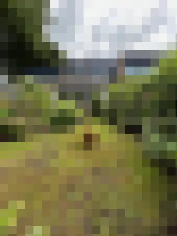 Tapuitlaan 64 Hoogeveen thumbnail 46