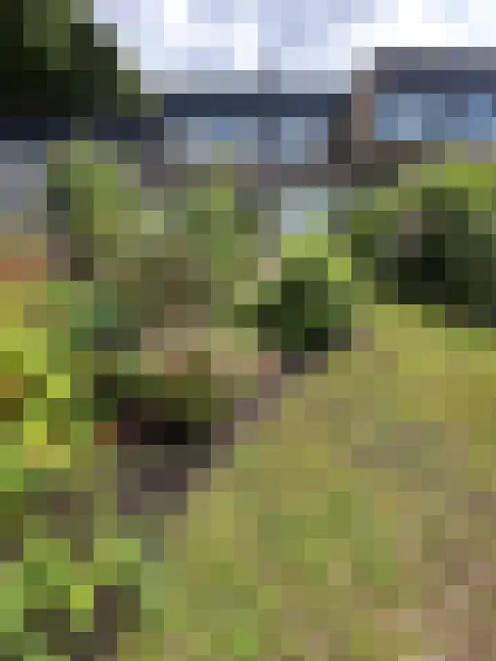 Tapuitlaan 64 Hoogeveen thumbnail 47
