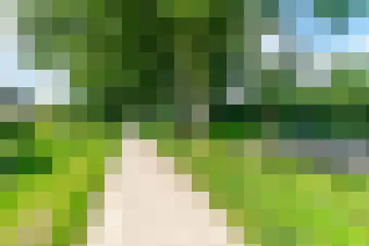 Tapuitlaan 64 Hoogeveen thumbnail 48