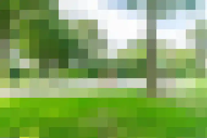 Tapuitlaan 64 Hoogeveen thumbnail 49