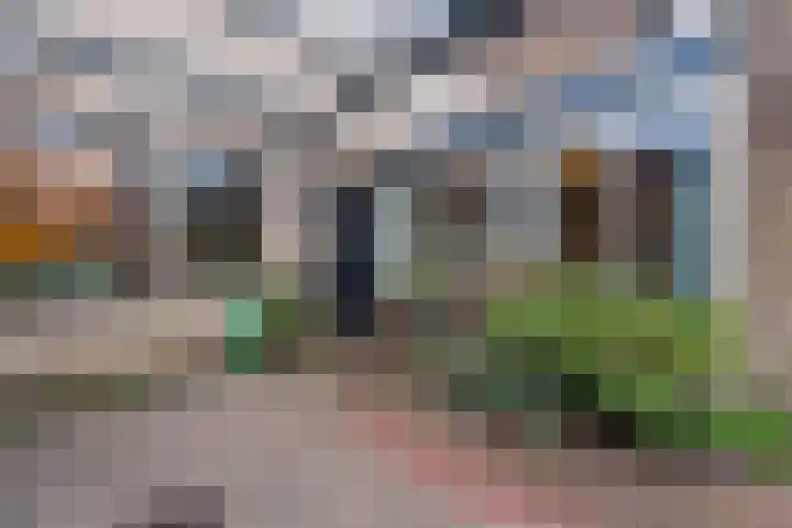 Tapuitlaan 64 Hoogeveen thumbnail 5
