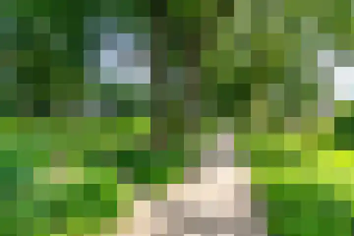Tapuitlaan 64 Hoogeveen thumbnail 51