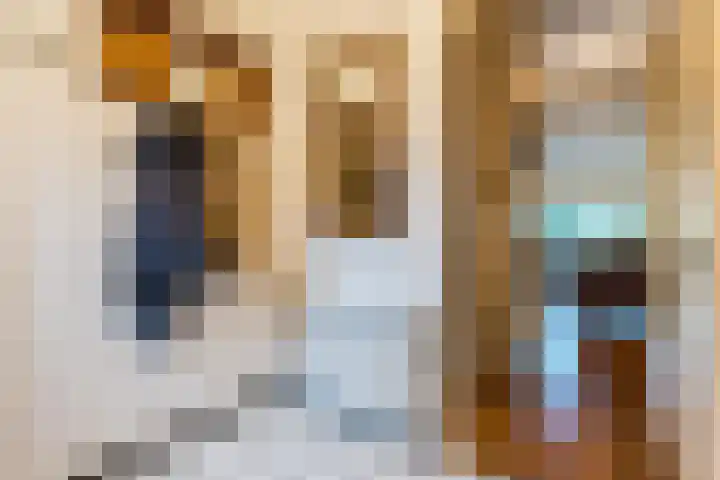 Tapuitlaan 64 Hoogeveen thumbnail 6