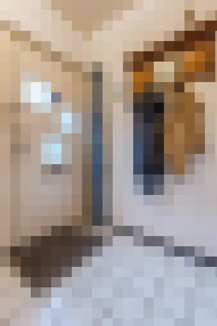 Tapuitlaan 64 Hoogeveen thumbnail 7