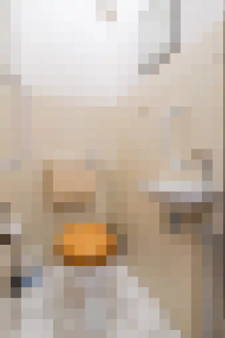 Tapuitlaan 64 Hoogeveen thumbnail 8