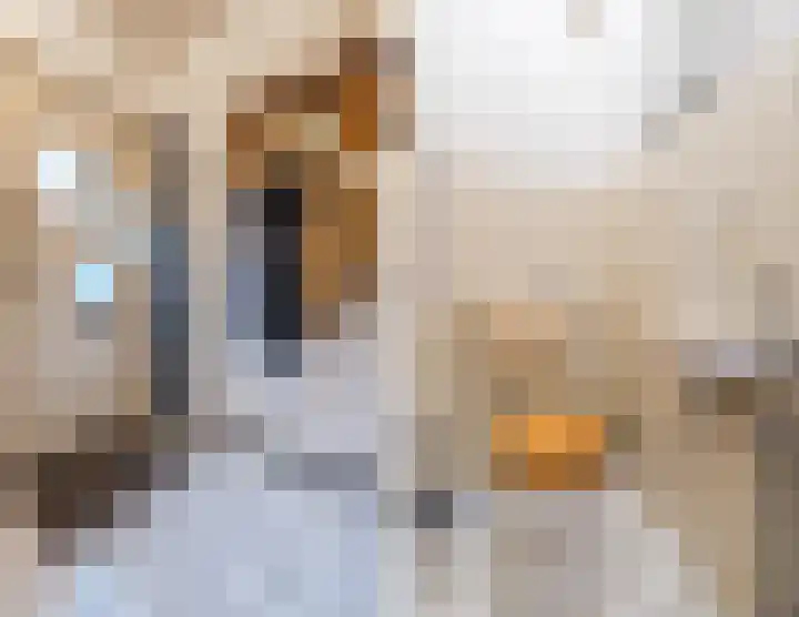 Tapuitlaan 64 Hoogeveen thumbnail 9