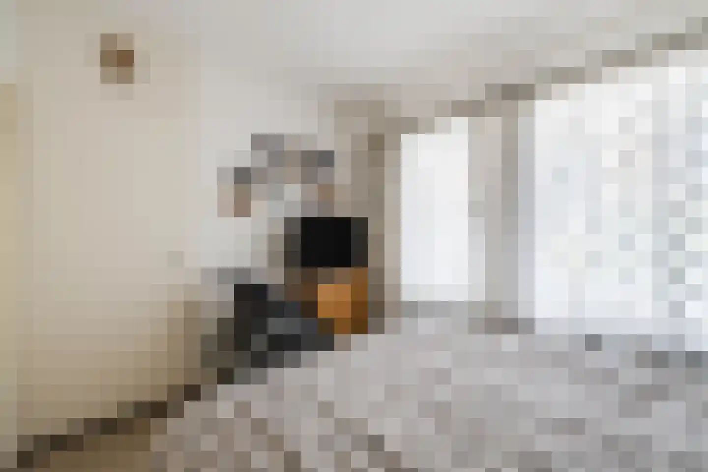 Tapuitlaan 70 Hoogeveen thumbnail 14