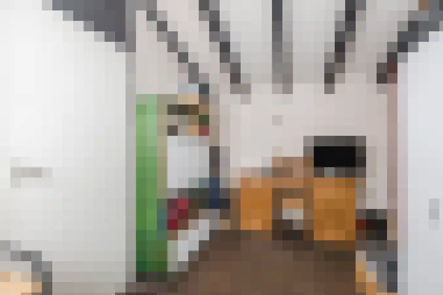 Tapuitlaan 70 Hoogeveen thumbnail 26