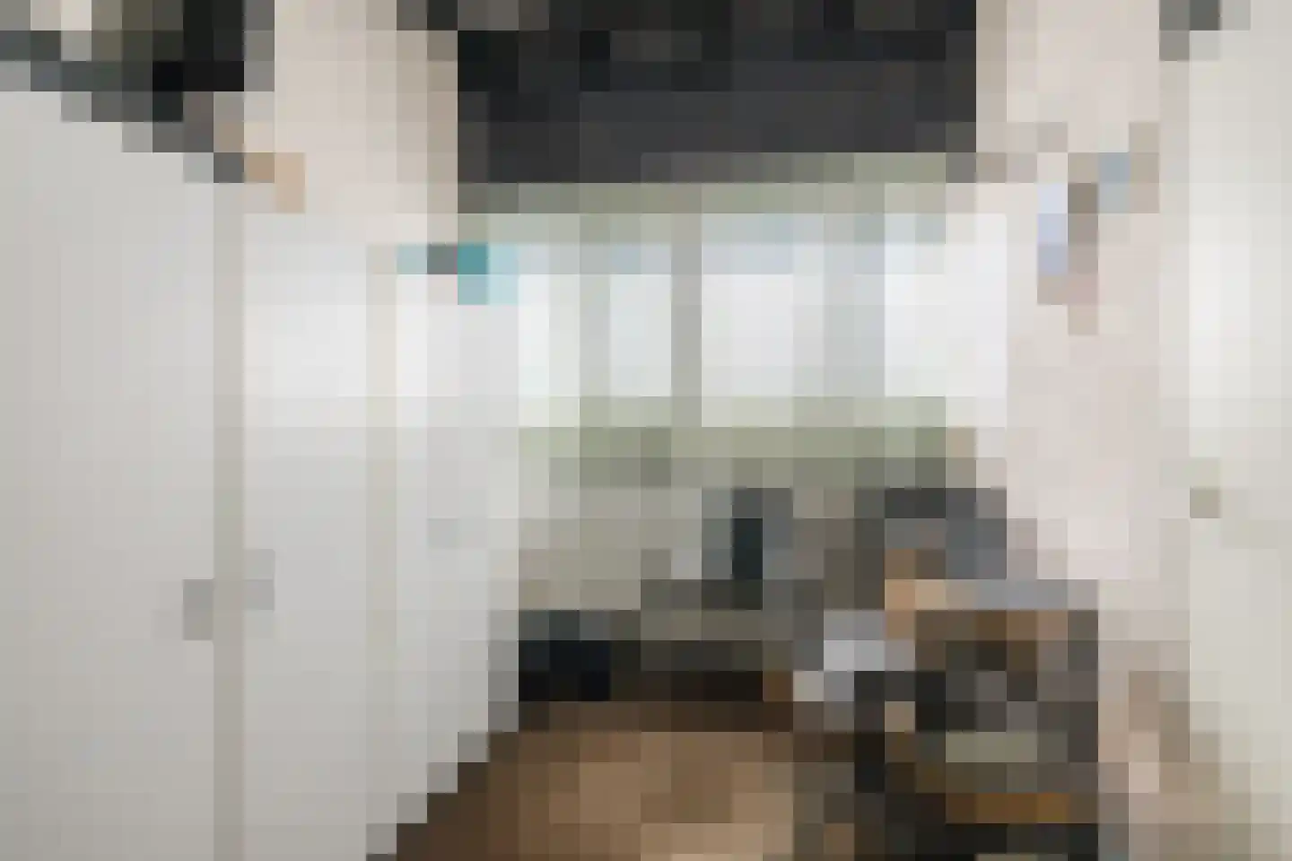 Tapuitlaan 70 Hoogeveen thumbnail 27